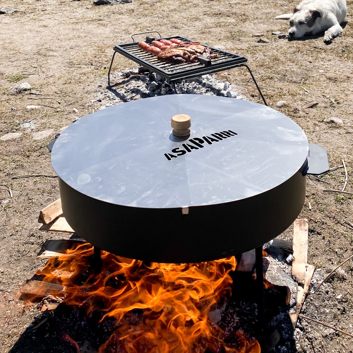 Disco 36cm - Plow Disc