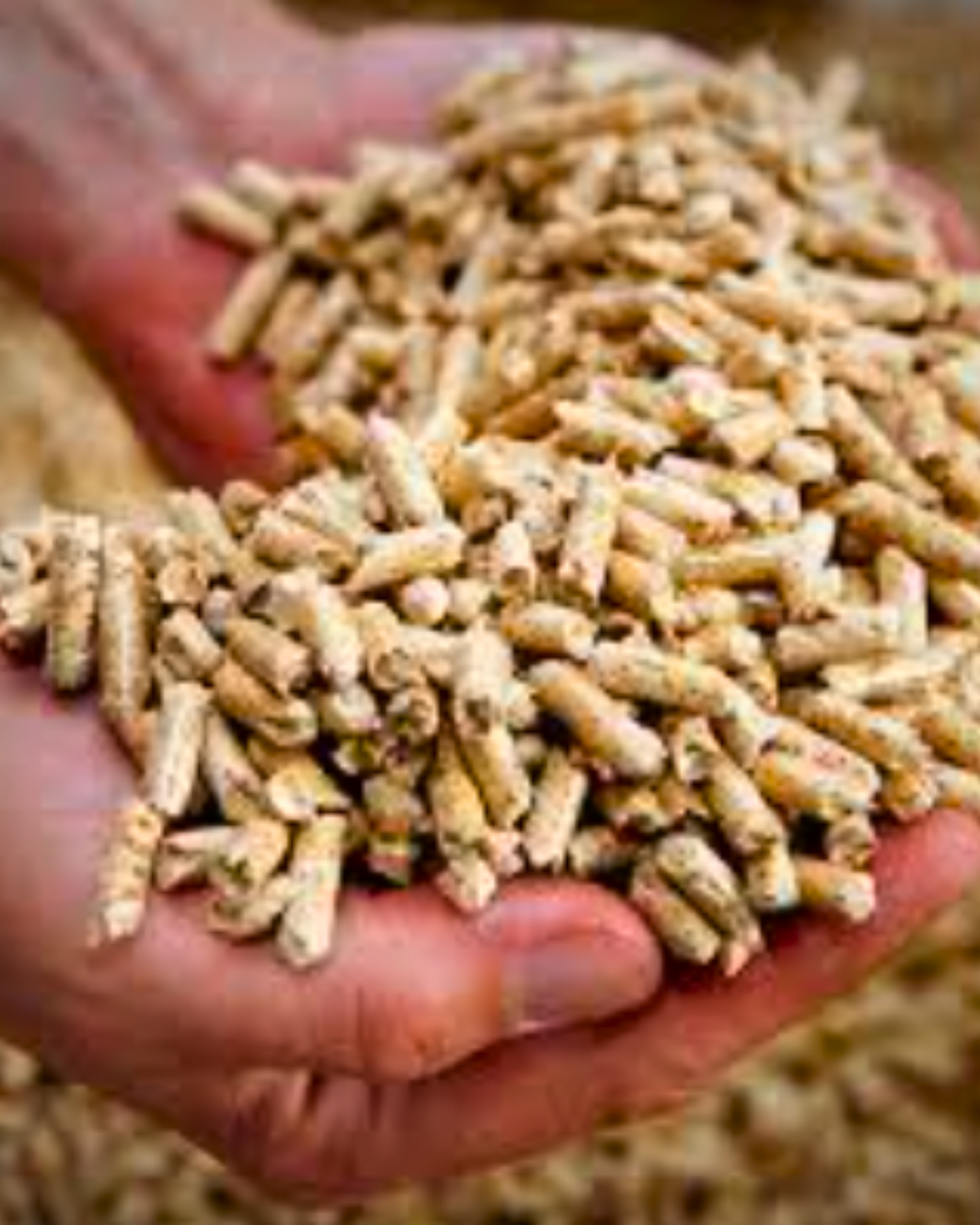 Pellets