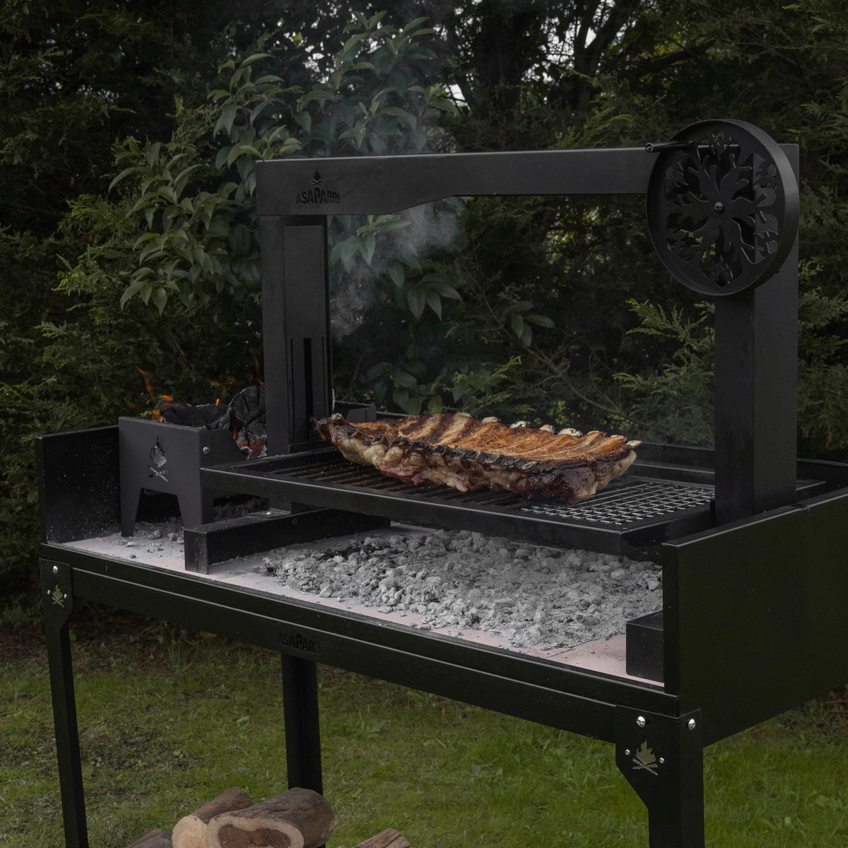 Asaparri Santa Maria 100 Grill + Base