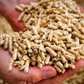 Pellets